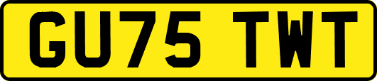 GU75TWT