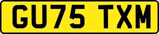 GU75TXM