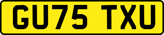 GU75TXU