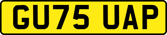 GU75UAP