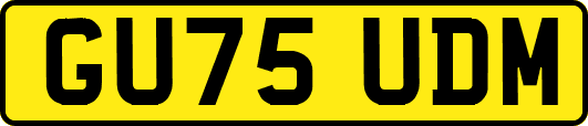 GU75UDM
