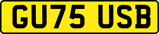 GU75USB