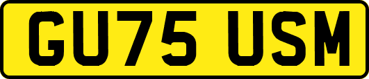 GU75USM