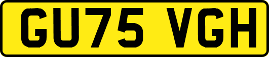 GU75VGH