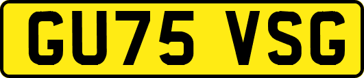 GU75VSG