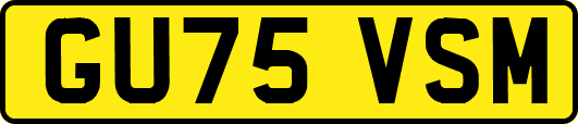 GU75VSM