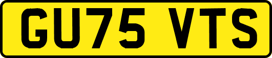 GU75VTS