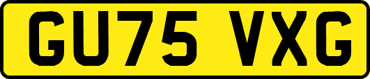 GU75VXG