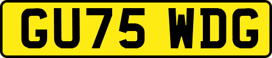 GU75WDG