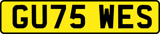 GU75WES
