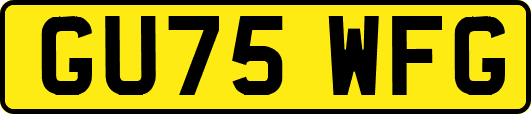 GU75WFG