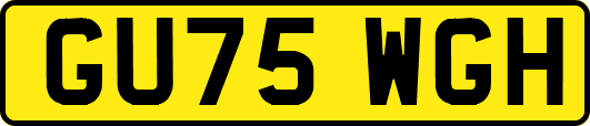 GU75WGH