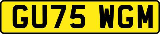GU75WGM