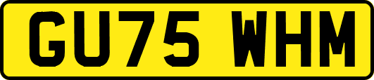 GU75WHM