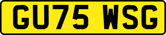 GU75WSG