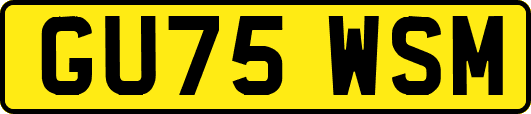 GU75WSM