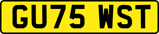 GU75WST