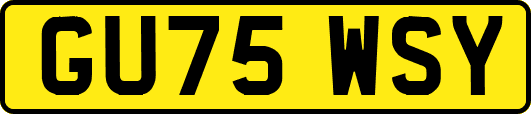 GU75WSY