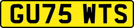 GU75WTS