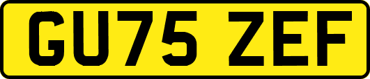GU75ZEF