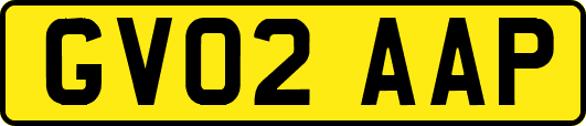 GV02AAP