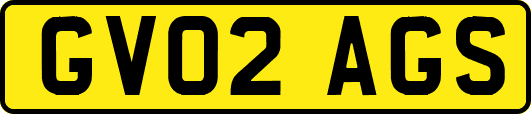 GV02AGS