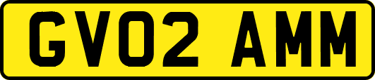 GV02AMM