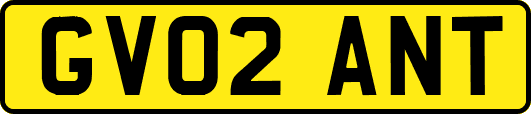 GV02ANT