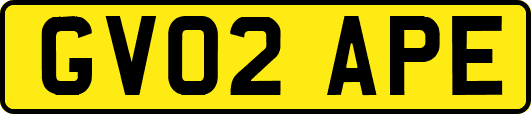 GV02APE