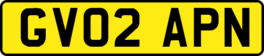 GV02APN