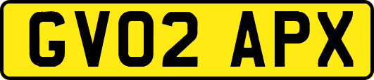 GV02APX