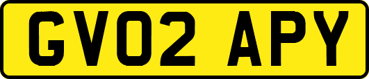 GV02APY