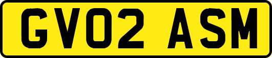 GV02ASM