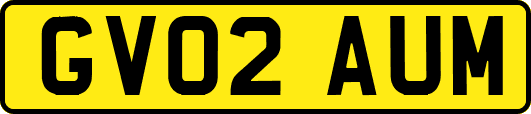 GV02AUM