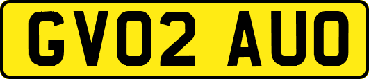 GV02AUO