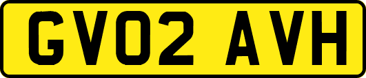 GV02AVH