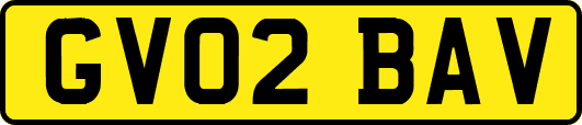 GV02BAV