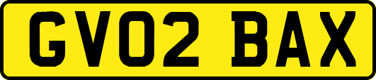 GV02BAX