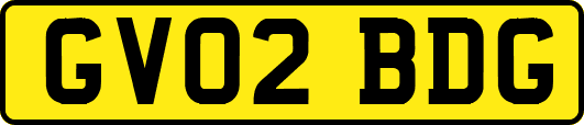 GV02BDG