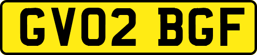 GV02BGF