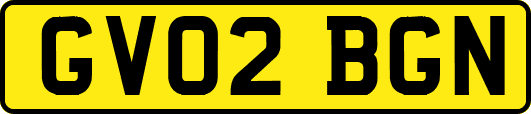 GV02BGN