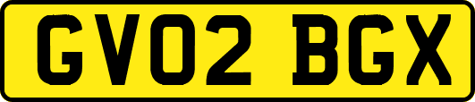 GV02BGX