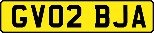 GV02BJA