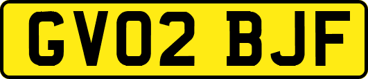 GV02BJF
