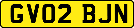 GV02BJN