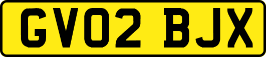 GV02BJX