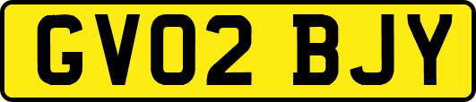 GV02BJY