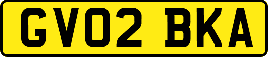 GV02BKA