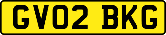 GV02BKG
