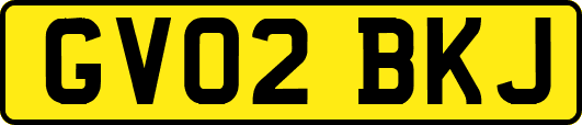 GV02BKJ